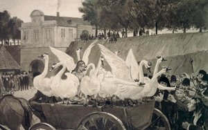 Dzikie łabędzie, ilustracja Hansa Tegnera (1853-1932) do bajki Hansa Christiana Andersena (1805-1875) autorstwa Hans Tegner