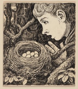 Rysunek do elementarza: gniazdo autorstwa Hans Thoma