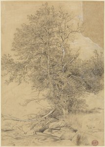  autorstwa Hans Thoma