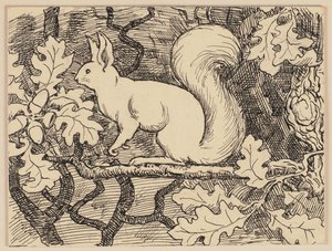 Ilustracja do podręcznika: Eichhorn autorstwa Hans Thoma