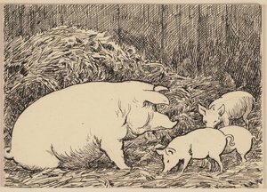 Ilustracja do podręcznika: Świnia autorstwa Hans Thoma