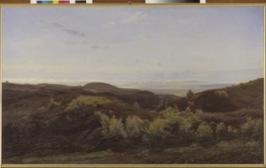 Heather Hills w pobliżu Rye, Jutlandia autorstwa Harald Foss