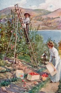 Ranczo z owocami w Nelson, Kolumbia Brytyjska autorstwa Harold Copping