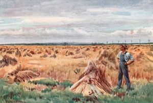Wzdłuż pól pszenicy Manitoba autorstwa Harold Copping