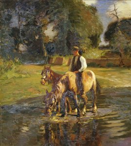 Wodopoj autorstwa Harold Harvey