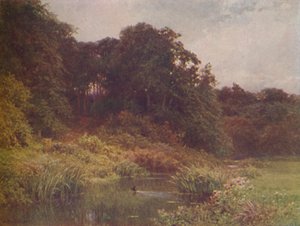 Potok, 1910