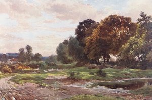Zakątek Esher Common (kolorowa litografia) autorstwa Harold Sutton Palmer