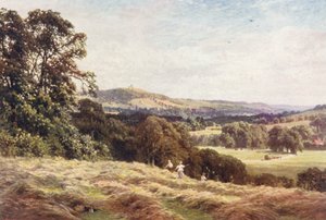 A Hayfield, Wonersh (kolorowa litografia)
