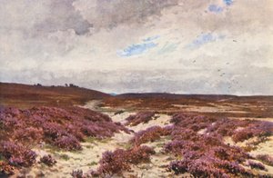 Frensham Common (litografia kolorowa) autorstwa Harold Sutton Palmer
