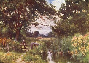 W pobliżu Chobham (druk kolorowy) autorstwa Harold Sutton Palmer