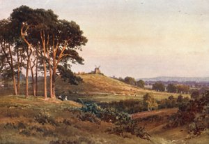 Reigate Heath, wieczór (druk kolorowy) autorstwa Harold Sutton Palmer