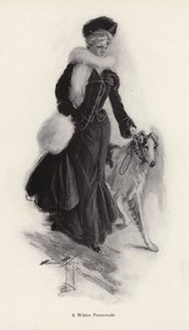 Kobieta spacerująca z psem rasy collie w zimie (lito) autorstwa Harrison Fisher