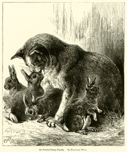 Niezwykła rodzina autorstwa Harrison William Weir