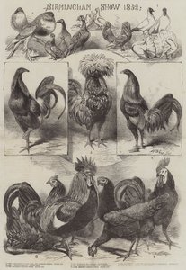 Wystawa w Birmingham 1858