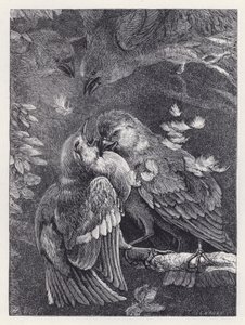 Walka między ziębą a wróblem (rycina) autorstwa Harrison William Weir