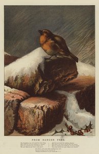 Z Danger Free (chromolitho) autorstwa Harrison William Weir
