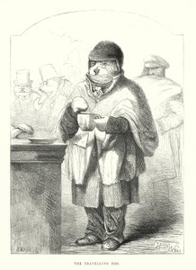 Zabawne psy: Pies podróżnik (grawerunek) autorstwa Harrison William Weir