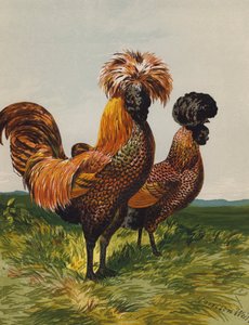 Polerowany Złocisty (chromolitho) autorstwa Harrison William Weir