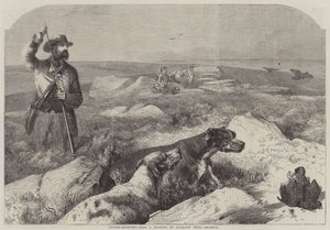 Strzelanie do cietrzew (grawerowanie) autorstwa Harrison William Weir