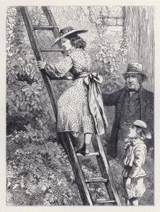 Harriet Peeps w gnieździe rudzików (rycina) autorstwa Harrison William Weir