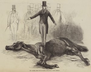 Pan Rarey, Poskramiacz Koni, działający na Krążowniku autorstwa Harrison William Weir
