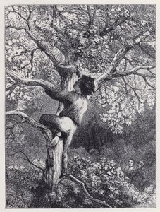 Zabranie gniazda Linnets (grawerunek) autorstwa Harrison William Weir