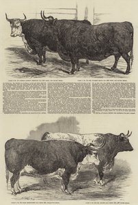 Doroczna Wystawa Klubu Smithfield