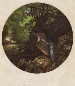 Nawiedzenie zimorodka autorstwa Harrison William Weir