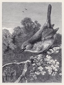 Robin oglądający chłopców z gniazdem (rycina) autorstwa Harrison William Weir