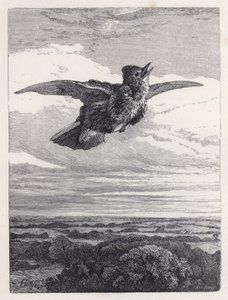 Pieśń Skowronka (rycina) autorstwa Harrison William Weir