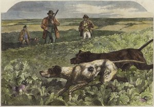 Pierwszy września