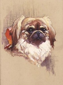 Czerwona wstążka