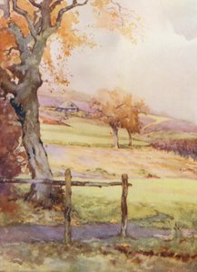 Pola golfowe: Broadstone, czwarty dołek (kolorowa litografia)