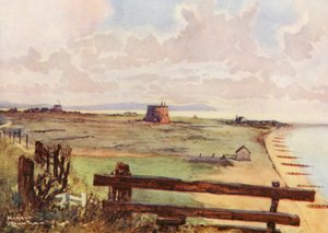 Pola golfowe: Felixtowe, widok ogólny pola golfowego (kolorowa litografia)