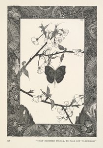 Motyl. Dziś zakwitły, jutro opadną. autorstwa Harry Clarke