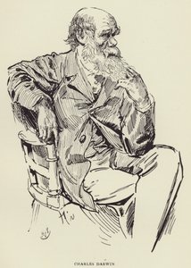 Karol Darwin autorstwa Harry Furniss