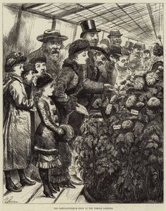 Pokaz chryzantem w ogrodach świątynnych autorstwa Harry Furniss