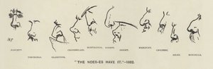 Mają to Noes-es (czyli nosy polityków) - 1883 (litografia) autorstwa Harry Furniss