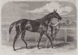Caller Ou, zwycięzca St Leger autorstwa Harry Hall