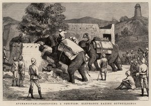 Afganistan, umacnianie pozycji, słonie burzące budynki gospodarcze autorstwa Harry Hamilton Johnston