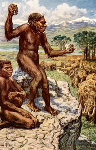 Ludzkość neandertalska