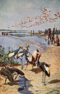 Północne brzegi jeziora Czad, widziane przez Denhama w 1822 r. autorstwa Harry Hamilton Johnston