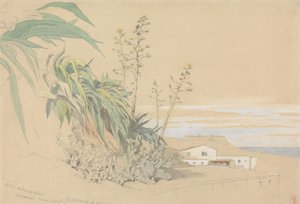Aloes i opuncja, Tarragona, Hiszpania
