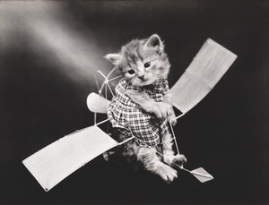 Seria Kitties: Pilot lecący samolotem, ok. 1914 (srebrna odbitka)