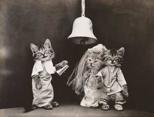 Seria Kociaki: Ślub, ok. 1914 r. (odbitka srebrna)