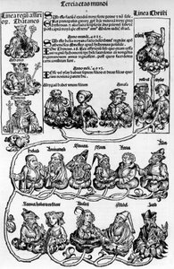 Drzewo genealogiczne, drzewo Jessego; Kronika norymberska
