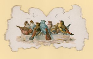 Ptaki (kolor lito) autorstwa Hector Giacomelli