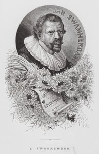 Owad: Swammerdam (rycina) autorstwa Hector Giacomelli