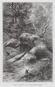 Owad: Las Fontainebleau (rycina) autorstwa Hector Giacomelli