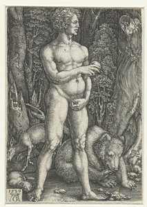 Adam autorstwa Heinrich Aldegrever